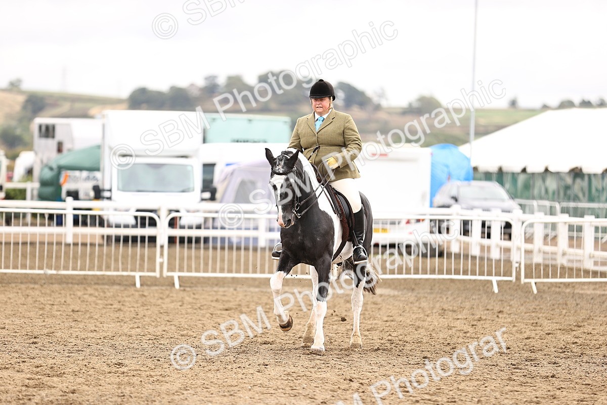 SBM_01435 - Class 54 - Riding Club Horse Pony