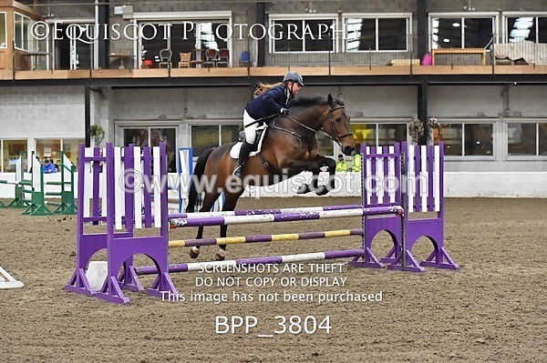 BPP_3804 - FRI CLASS 21 BR NOVICE/90CM