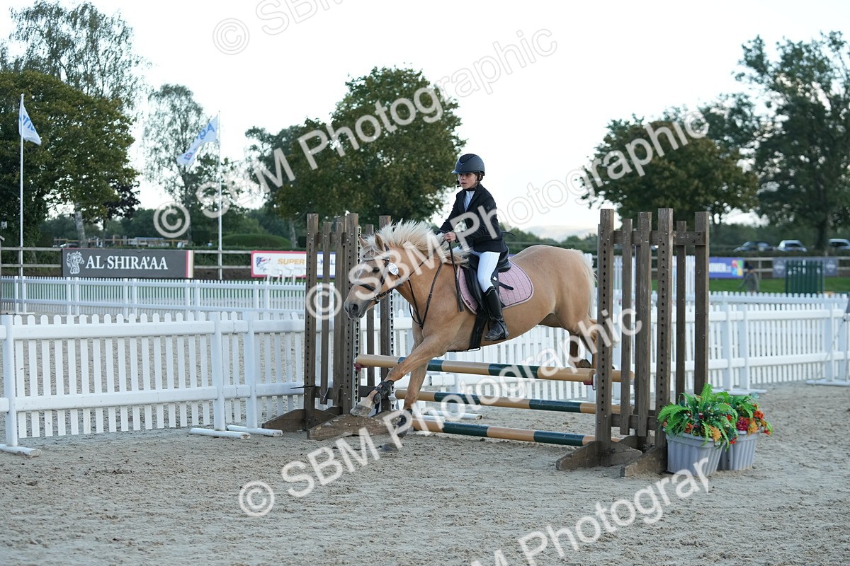 SBM_54205 - Supreme Championship 60cm 65cm