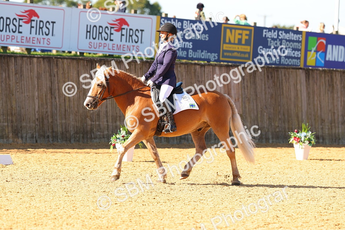 SBM_39922 - D18 - Grand Tour Championship - Novice 34