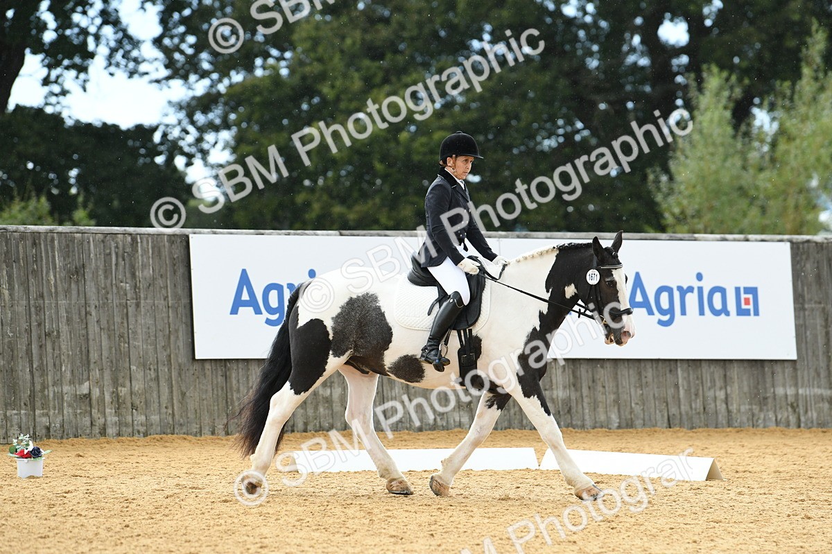 SBM_07312 - D15 Small Tour Championship Novice 24