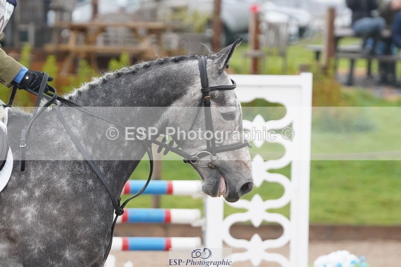 250419-100446-07910 - 508-Maisy.Miller-HEADDON.SWAN.SONG