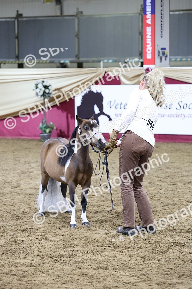 SBM_20452 - Class F - IH Small (148cm & Under)Champ