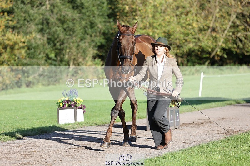 241027-092605-15287 - 443-Bethan.O'Dell-RED.VICO