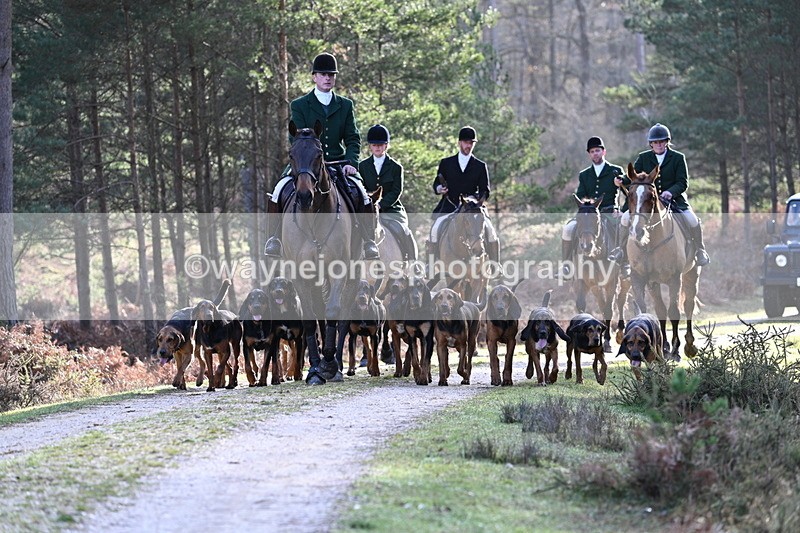 WJ7_7651 - Line 3 (no line 4 or 5)