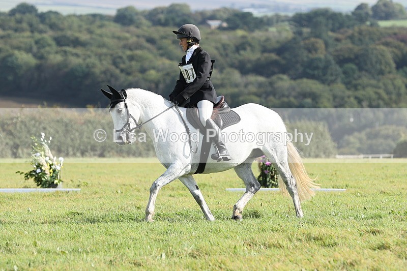 JPP_8070 - Class 2A: Trekenning Open: Dressage