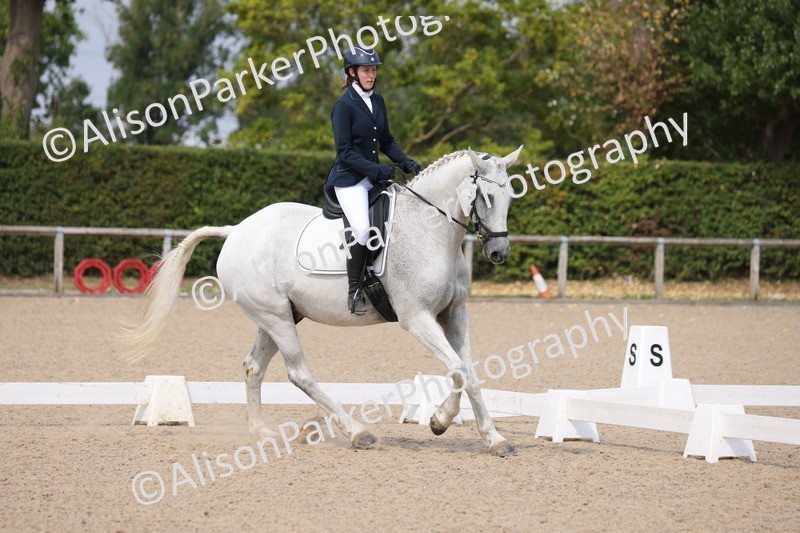 20250819-1550 - Class 5 - Novice 3