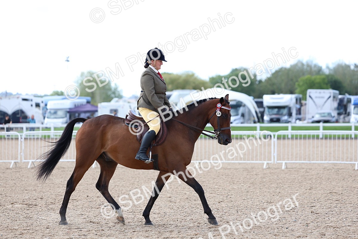 SBM_09160 - Class 303 - Ridden Pure Bred Horse Pony