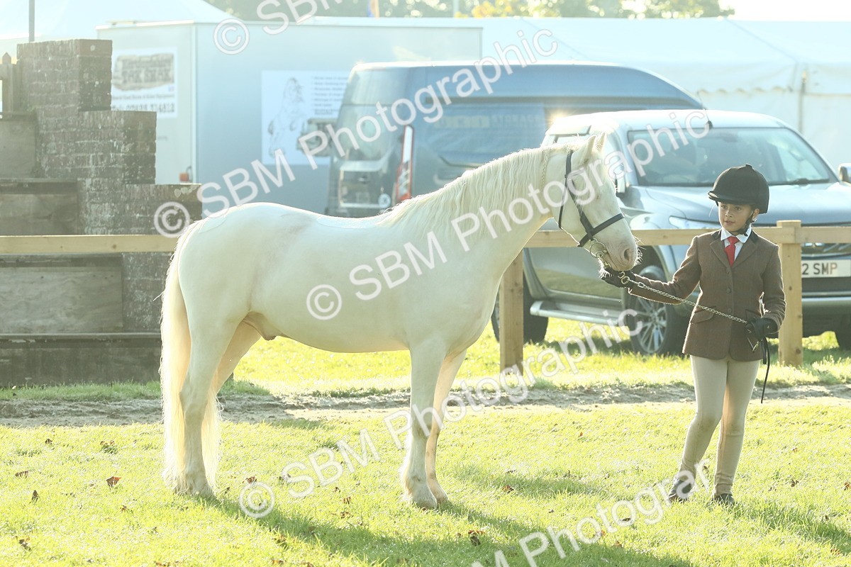 SBM_57381 - S37 - Starters In Hand Showing