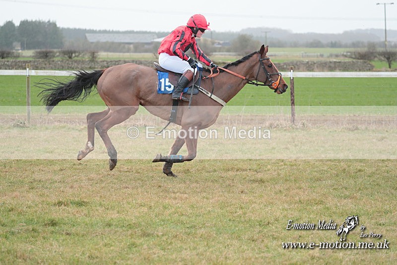 PtP 210124 545 - Cocklebarrow Races Point-to-Point 21/01/24