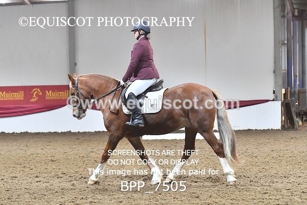 BPP_7505 - INTRO TEST 2