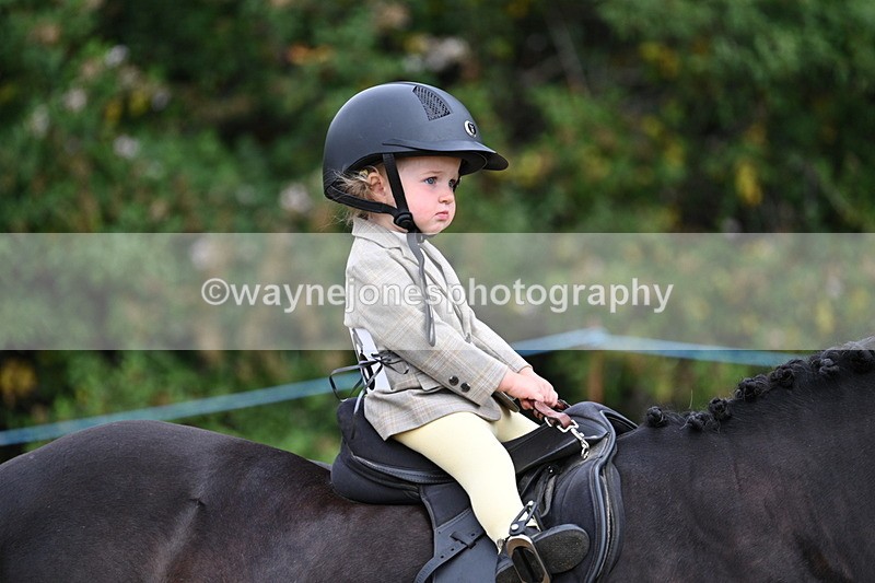 WJ7_9632 - Class 1 Lead Rein Pony