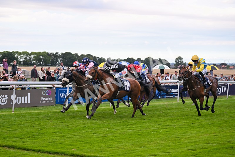290725-Race 7-King Sharja-1272 - Race 7
