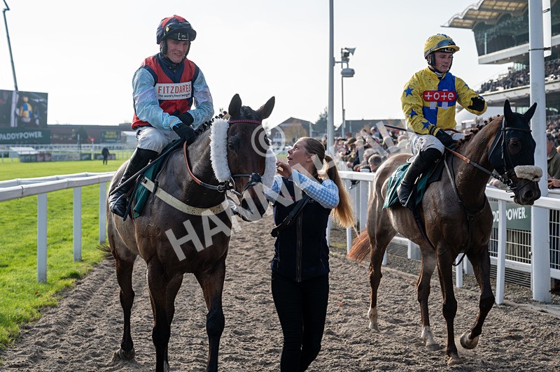 151124-Race 1-Whatsupwithyou-8524 - Race 1