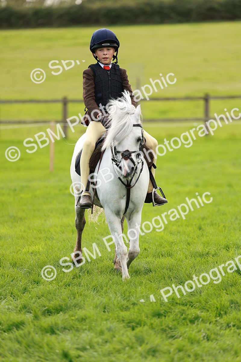 SBM_41765 - S32 - Mountain & Moorland Working Hunter Pony