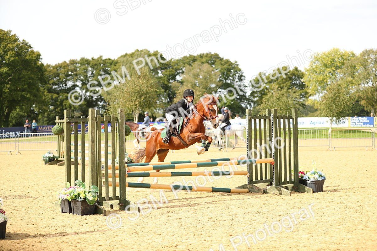 SBM_66014 - J17 - Junior Pony 80cm Championship