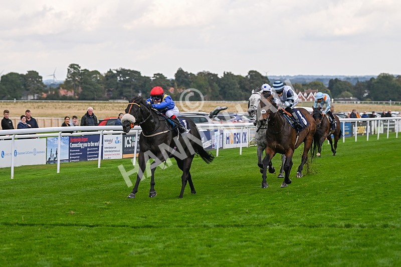 240924-Race 4-Tees Spirit-6245 - Race 4