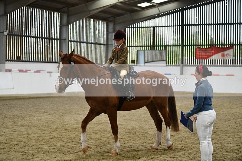 WJ5_6374 - Class 9 Ridden Veteran