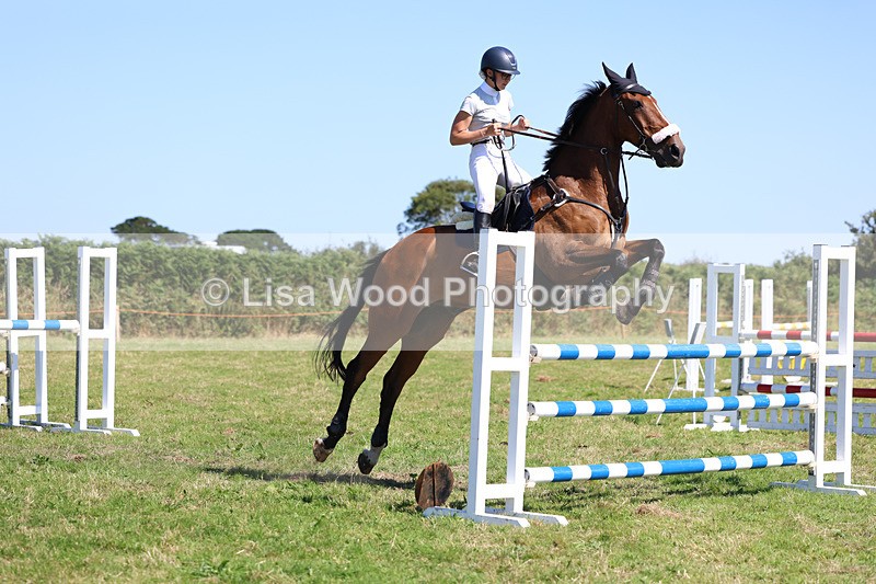 3E7A6474 - Class 13: Senior Newcomers/1.10m open