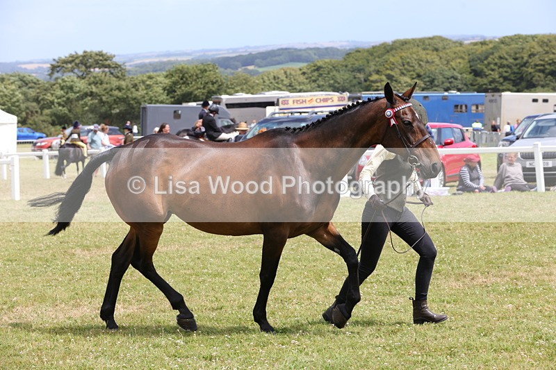 1X9A4907 - Class 35: Veteran In Hand