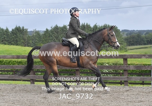 JAC_9732 - CLASS 2 Novice Working Hunter (0.60m - 0.70m)