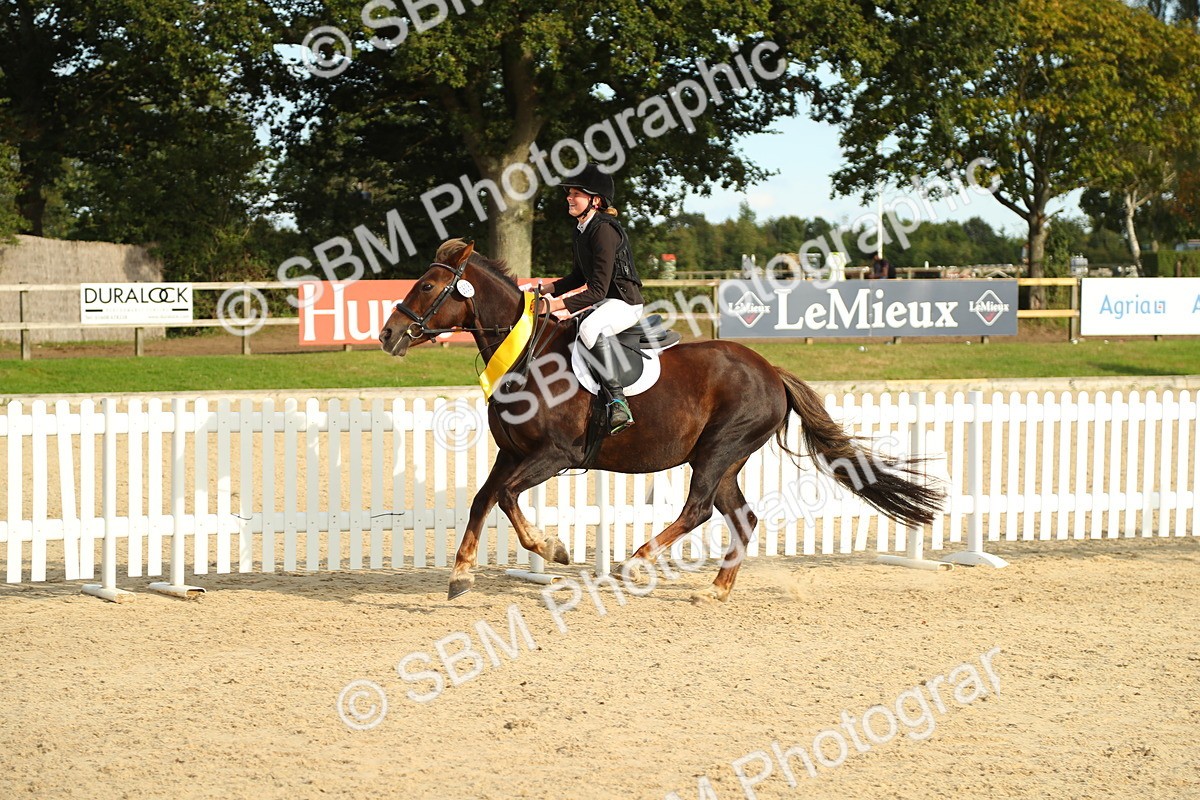 SBM_51770 - J7 - Junior Pony 60cm Championship