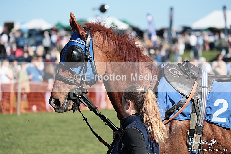 PtP 210326 209 - VWH Cirencester Races 21/03/26