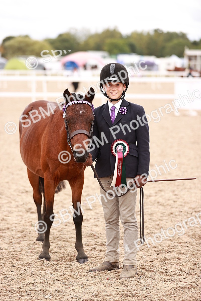 SBM_18628 - Class 421 - Childs Best Friend - Jnr