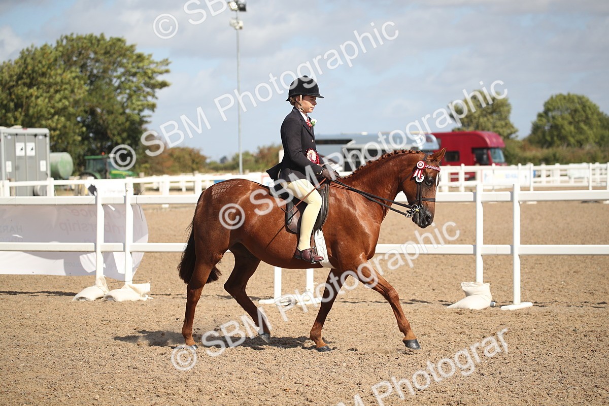 SBM_23006 - Class 603 - 2026 - Ridden Pre Vet