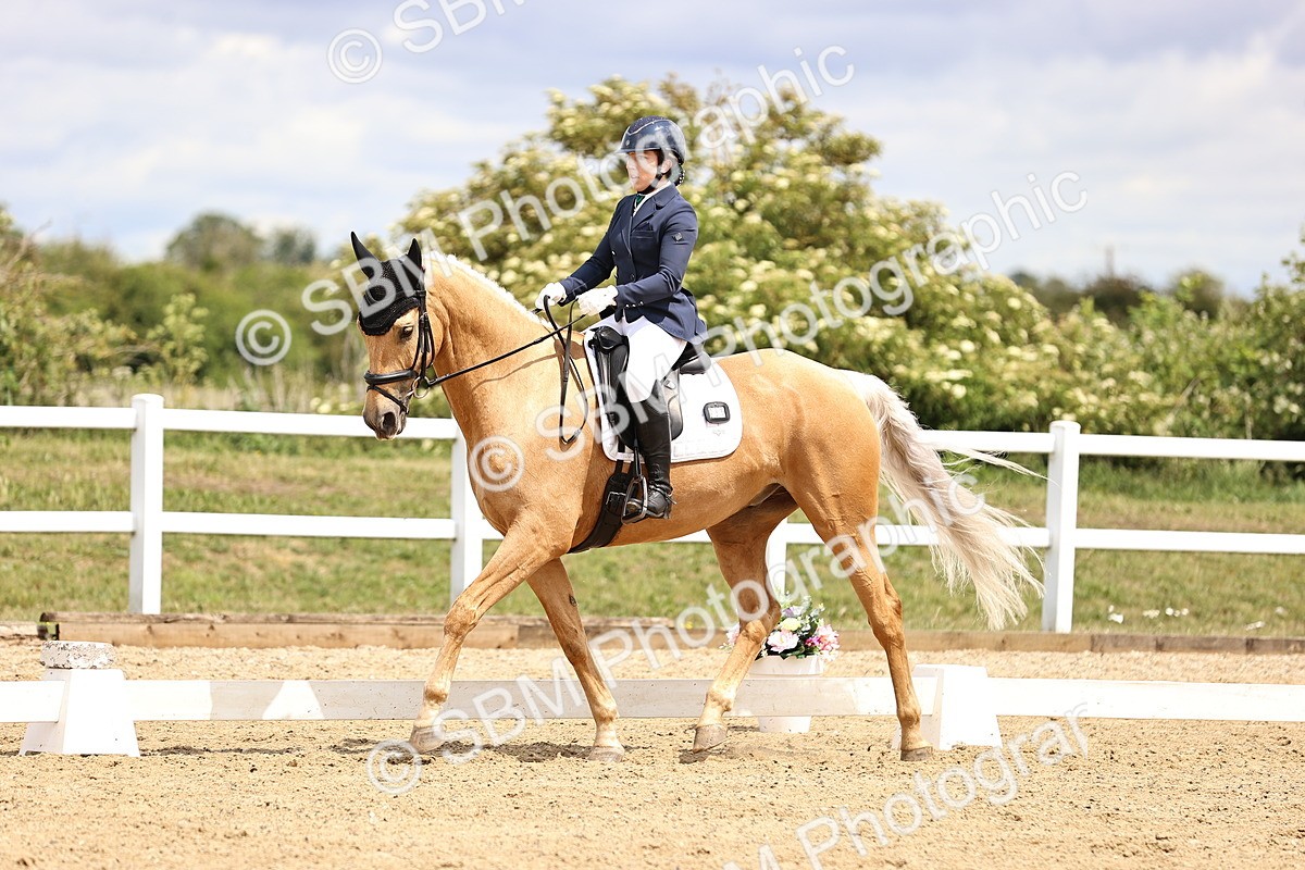 SBM_002987 - Class 2 - Novice 4 - 12.00-13.10