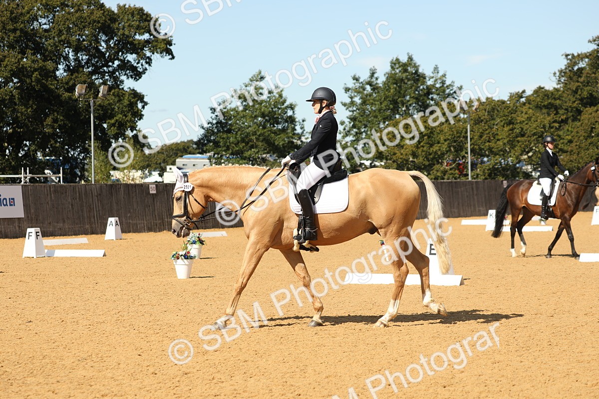 SBM_22332 - D17 - Grand Tour Championship - Novice 27