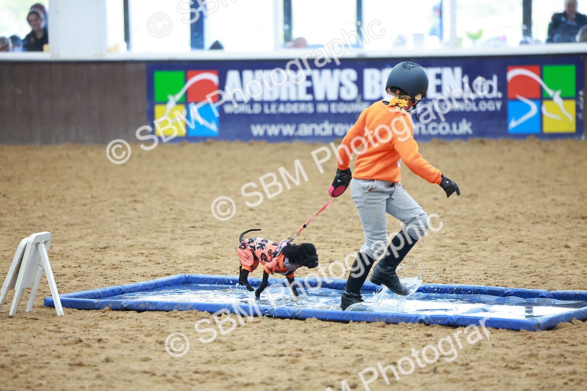 SBM_001708 - Class 3 - Horse & Hound (60cm)