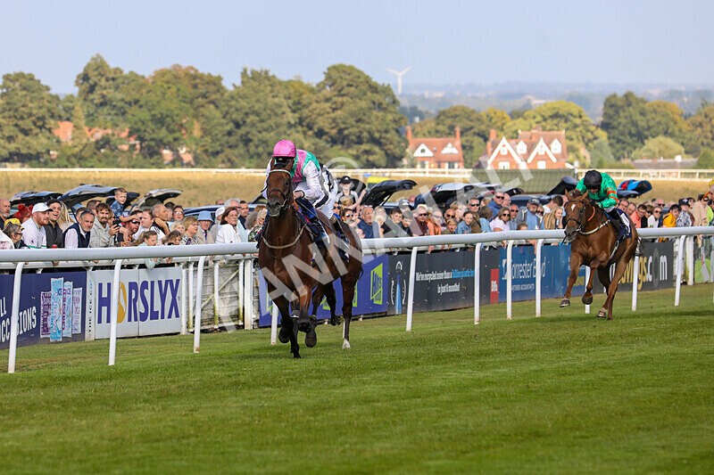 310824-Race 6-Amphius-1936 - Race 6