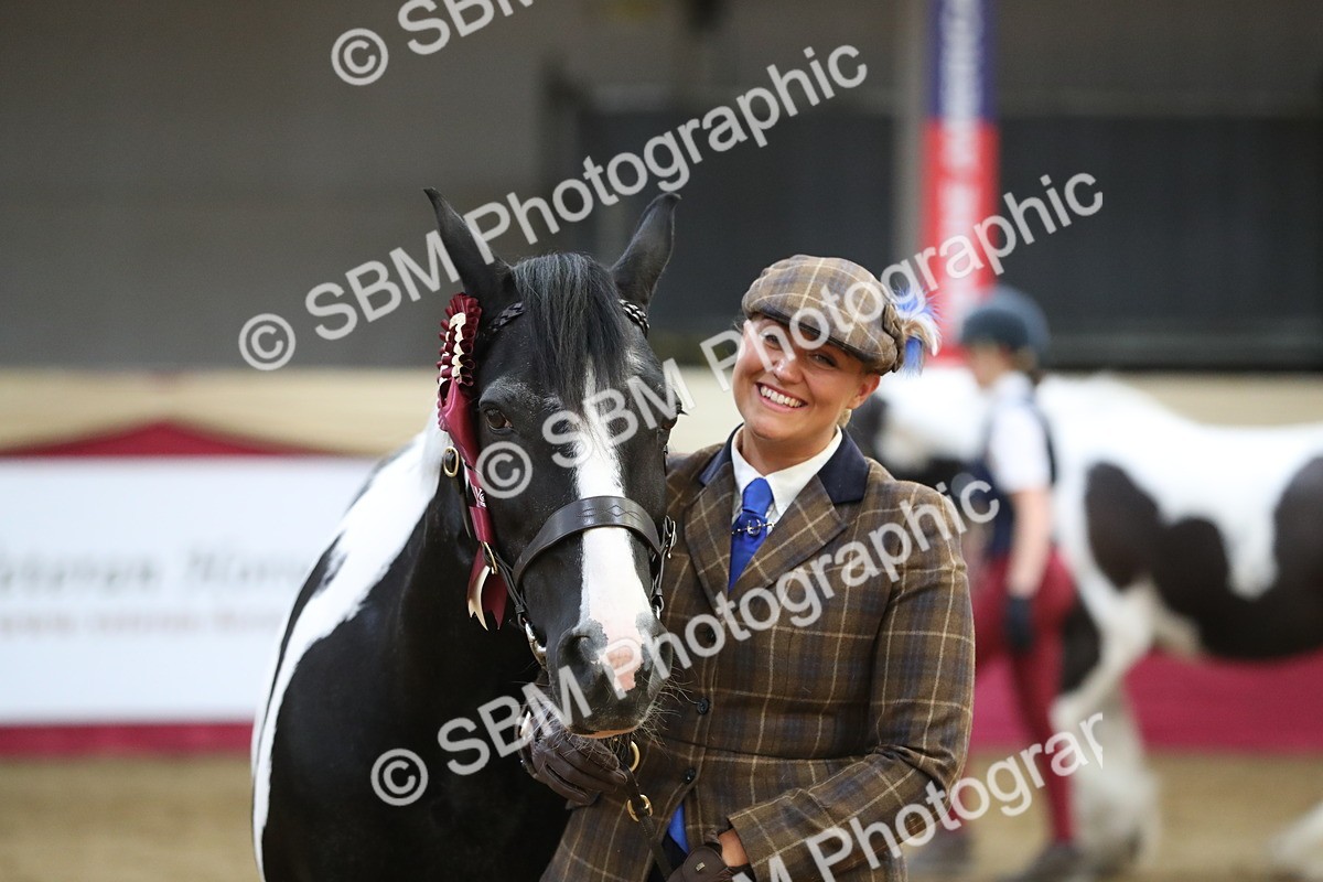 SBM_06478 - Class 9R Regional- IH Pre Vet