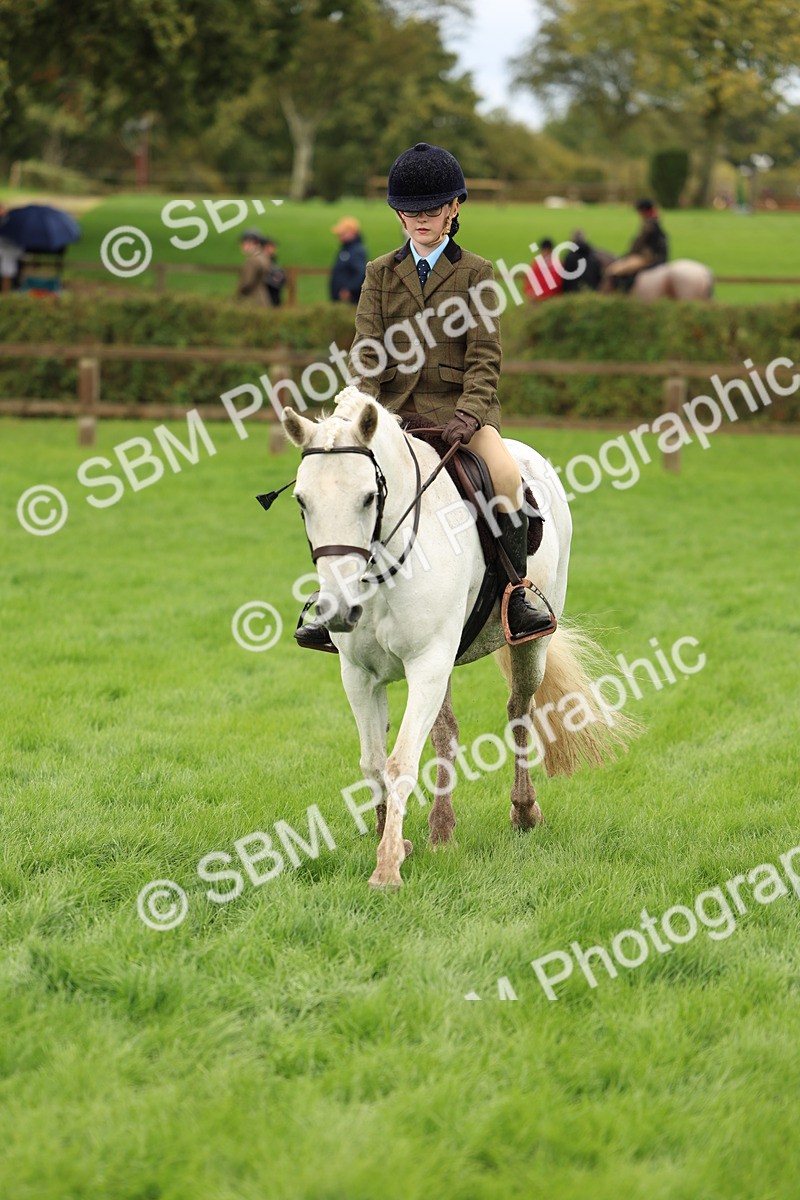 SBM_45354 - S33 - Working Hunter Pony