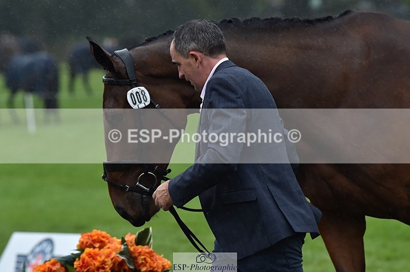 231018-120542-00076 - 008-CECEIA.DE.MUZE-Alan.Nolan-TrotUp