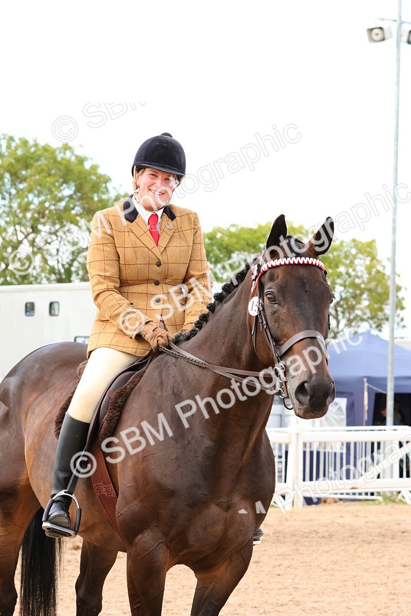 SBM_16252 - Class 217 - Ridden Retired Racehorse