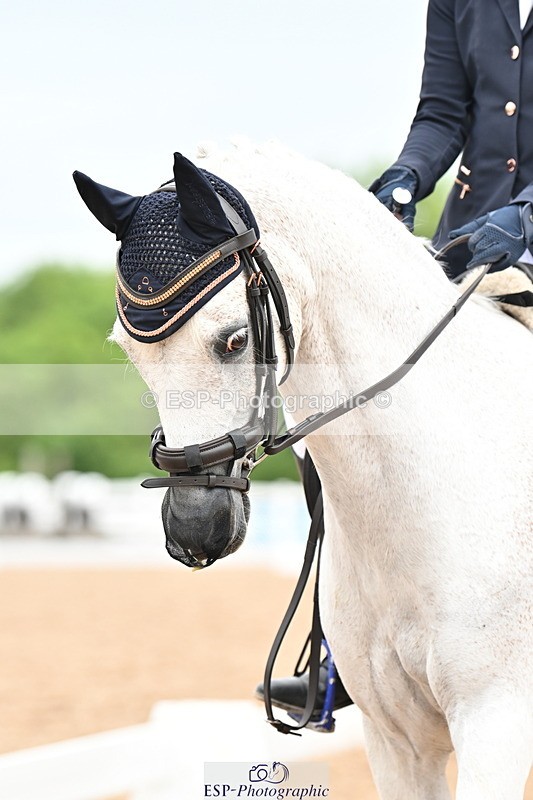 240623A-111650-17439 - Cls 48 BD Novice 37A