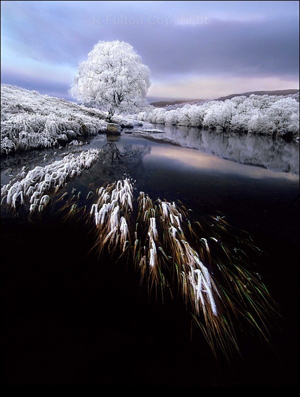 Winters Day - Landscapes