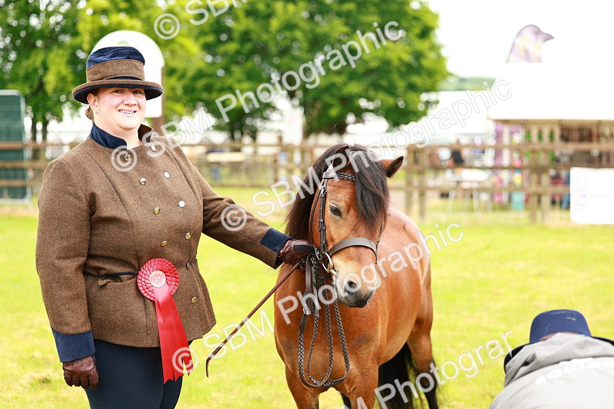SBM_00287 - Class 58-67 - M&M Non Welsh Pony In hand