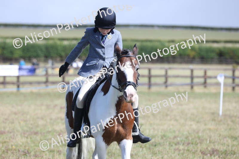 20250831-2480 - Class 16 - Family Pony