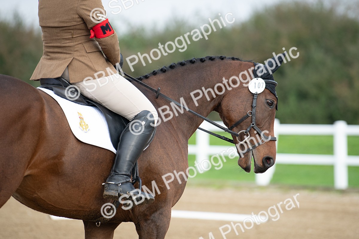 SBM_003533 - Introductory Test 3