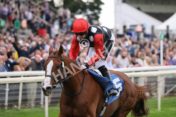 yr24092021r6-27 - Race 6 4.25pm William Hill Pick Your Places Stakes