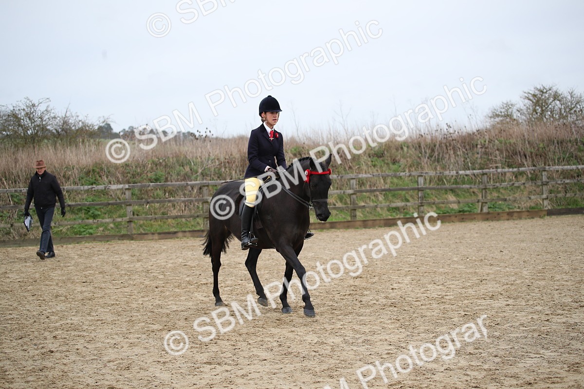 SBM_004713 - Class 5-9 - NPS In Hand-Show Hunter-Intermediate Ridden Inc Ridden Championship