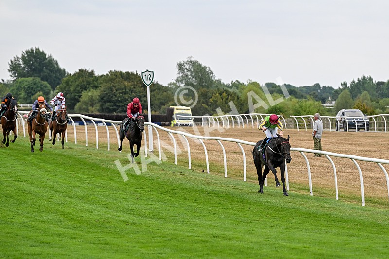 170826-Race 4-Star Noir-9554 - Race 4 15.45pm Constant Security Services Novice Stakes