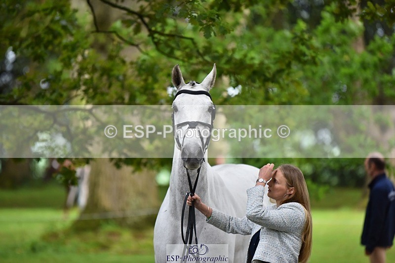 240522-172506-01592 - 286-ZIROCCO_VAN_DE_EIJKHOF_Z-Megan_Sanders