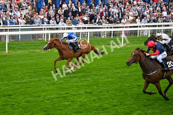 200825-Race 6-Star Of Mehmas-2000 - Race 6 4.45pm IRE-Incentive, It Pays To Buy Irish Fillies' Handicap
