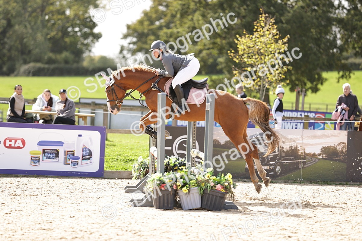 SBM_18487 - Supreme Championship
