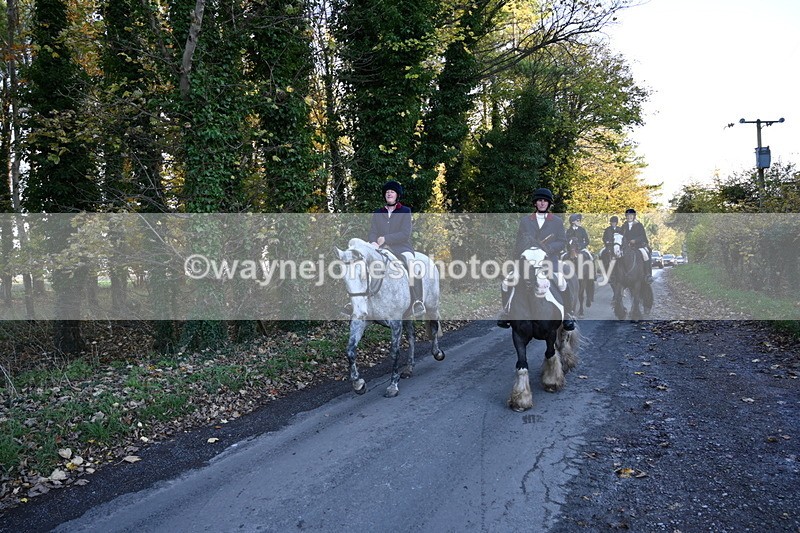 WJ6_9786 - Walk Home