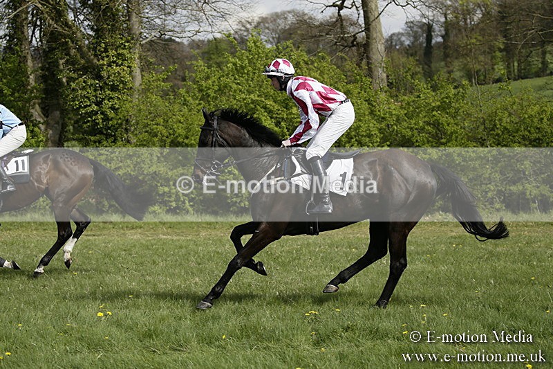PtP 170417 249 - Old Berks Point-to-Point Lockinge 17/04/17
